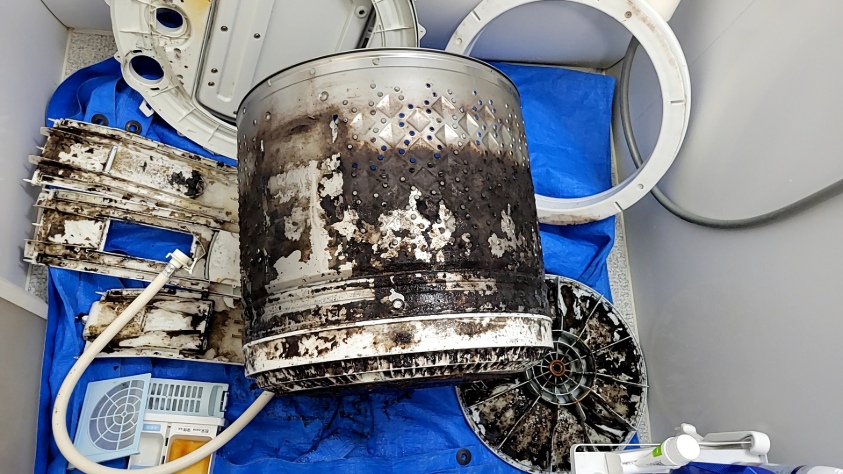 中村区東芝全自動洗濯機分解クリーニング